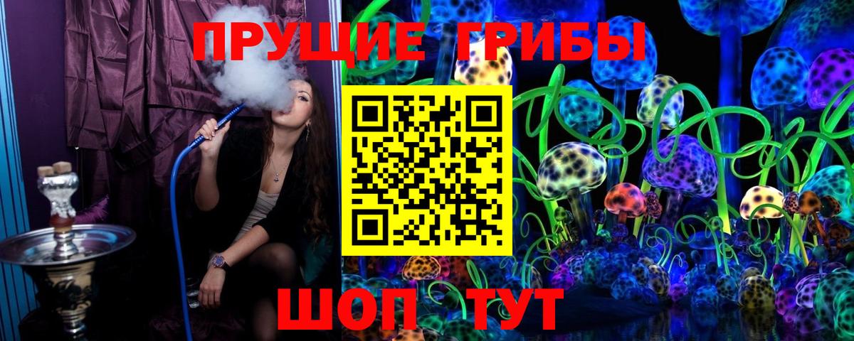 Псилоцибиновые грибы ЛСД  где купить   Чернушка  Вход с VPN 